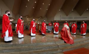 Los sacerdotes recién ordenados se reúnen al final de la misa para dar su primera bendición al cardenal Blase Cupich, el 29 de junio en St. John Brebeuf Parish, en Niles, Ill. El cardenal Cupich ordenó también a un sacerdote que servirá en la Arquidiócesis de Tabora, Tanzania. Foto: Karen Callaway/Católico