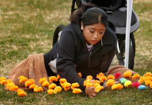 Kayla Chávez decora con flores la ofrenda de su familia en la celebración del Día de Muertos de la parroquia San Procopio el 1 de noviembre.
